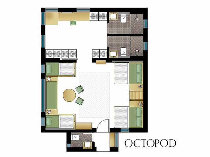 salmanjori-octopod
